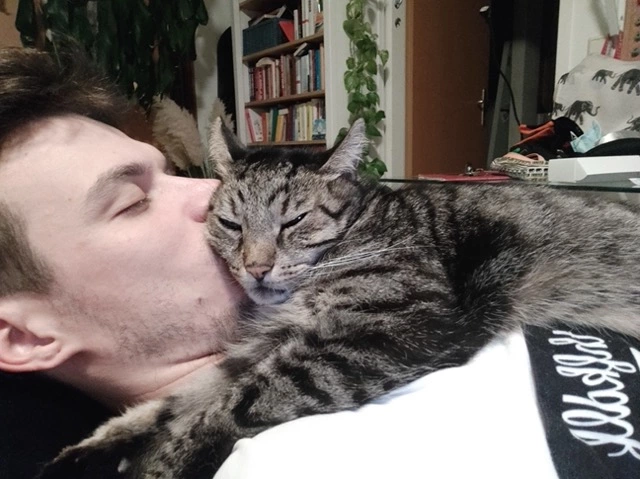 Cats gets kisses